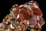 Large, Ruby Red Vanadinite Crystals - Morocco #51278-2